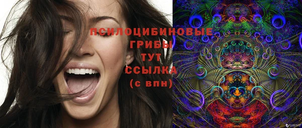 альфа пвп Горняк