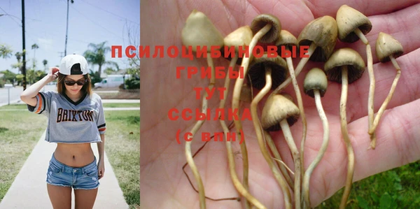mdma Зеленокумск