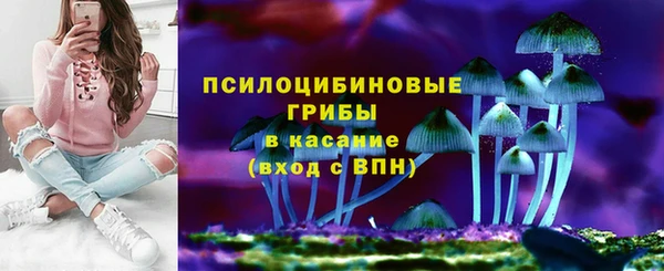 альфа пвп Горняк